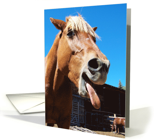 Silly Horse Encouragement Card for Cancer Patient card (271018)