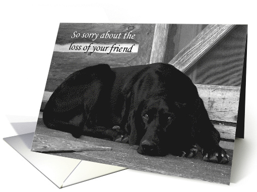 Sorry for the Loss of Your Pet card (289110)