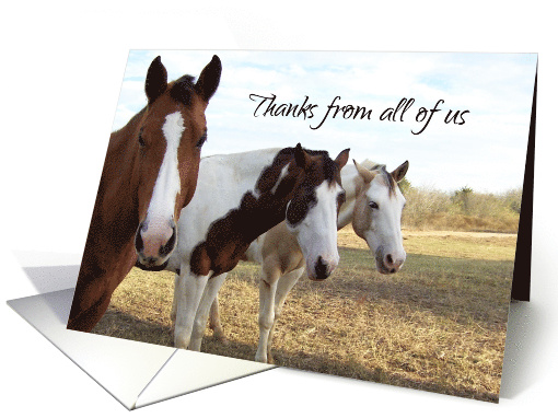 Horses Thank You From Group card (305735)