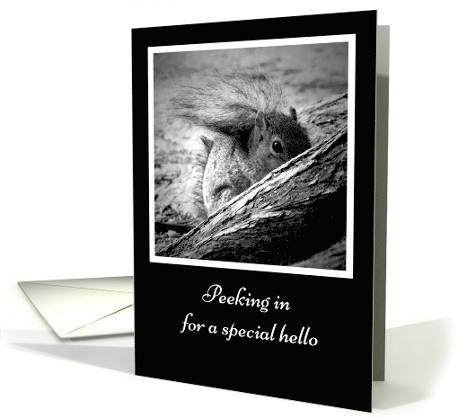 Secret Pal Squirrel Hello card (361956)