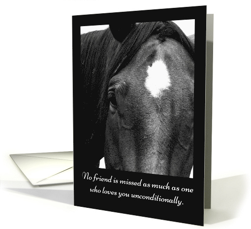 Loss of Horse Sympathy card (371579)