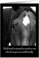 Loss of Horse Sympathy Card