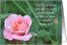 Scripture Rose Encouragement card