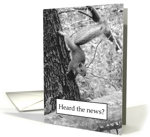 Squirrel Funny New Address Announcement card (495436)