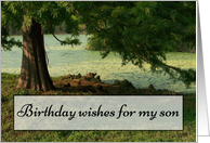 Happy Birthday, Son, Tree and Water. card