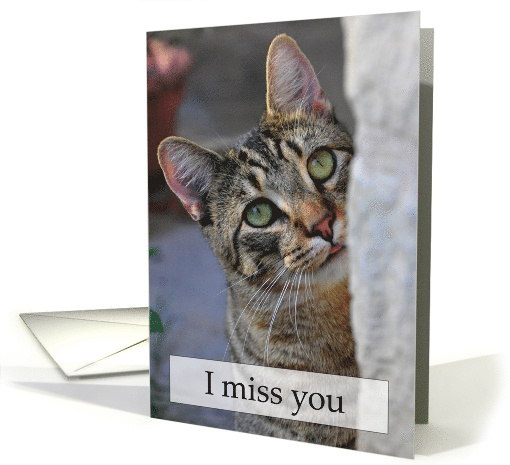 Adorable Tabby Kitty Looking Sad Miss You card (512772)