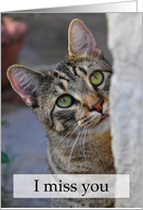 Adorable Tabby Kitty Looking Sad Miss You card