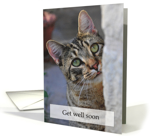 Adorable Tabby Kitty Cat Looking Sad Get Well Soon card (512777)