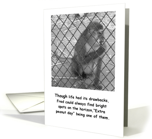 Monkey Encouragement, Hope Your Day Gets Better card (535521)