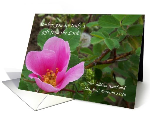 Mother's Day Scripture card (583492)