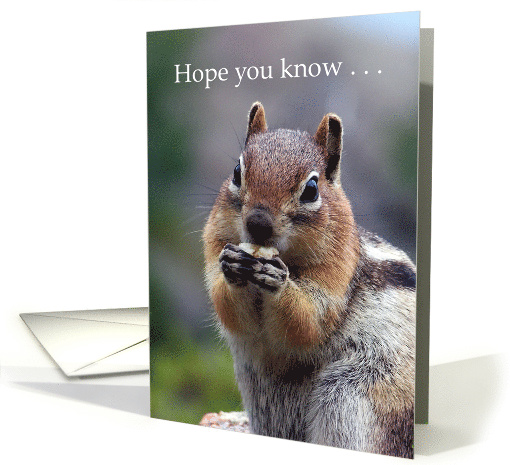 Chipmunk Romantic Humor card (601477)