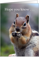 Chipmunk Romantic Humor card