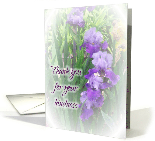 Thank you for your expression of sympathy card (759847)