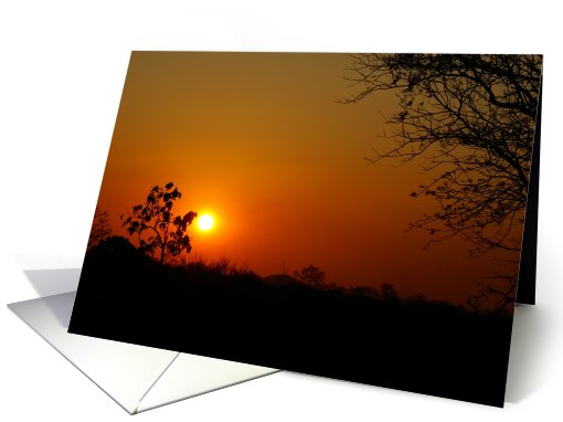 Sunset in Pemba, Africa card (759851)