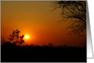 Sunset in Pemba, Africa card