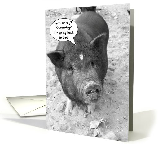 Groundhog Day Humor card (761326)