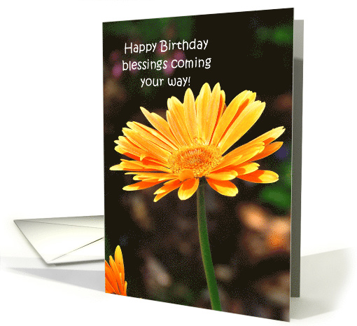 Birthday Blessings, Yellow Zinna card (812156)