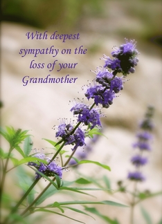 Loss of Grandmother...