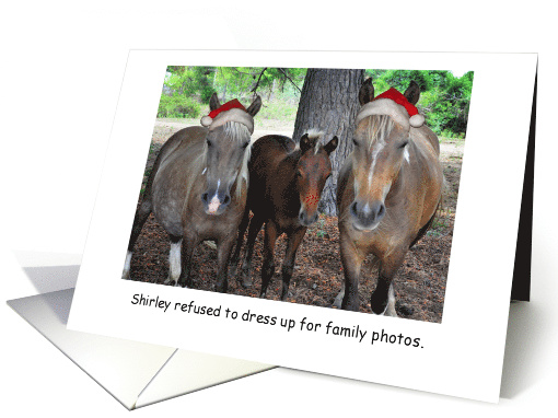 Horses with Santa Hats Merry Christmas card (847273)