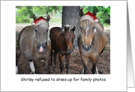 Horses with Santa Hats Merry Christmas card