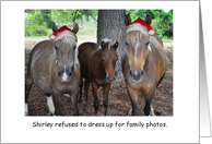 Horses with Santa...