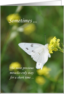 Miscarriage Sympathy Butterfly card