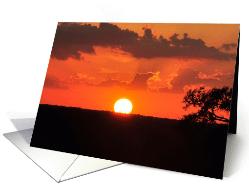 Sunset card (881135)