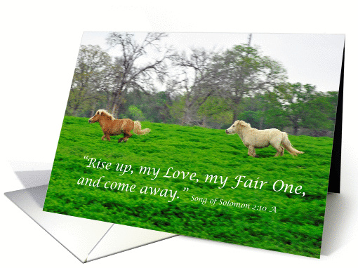 Running Ponies Song of Solomon Christian Love card (918228)