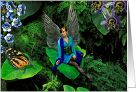 The Peacock Fairy (blank inside) card