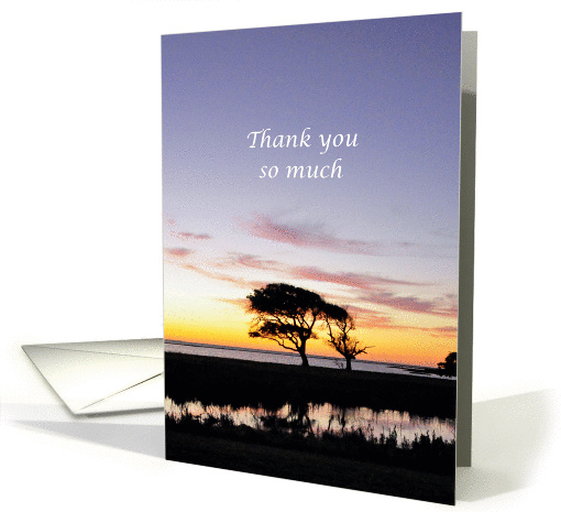 Thank You Pastor, for Performing Funeral Service Tree and Sunset card