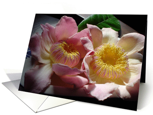 WeddingFlowers card (271390)