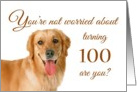 Happy 100th birthday, worried lab card