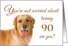 Happy 90th birthday, worried lab card