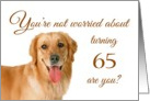 Happy 65th birthday, worried lab card