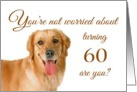Happy 60th birthday, worried lab card