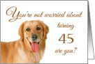 Happy 45th birthday, worried lab card