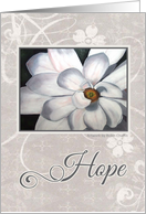 Hope Encouragement Thinking of You Magnolia card