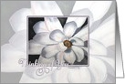 Magnolia - Thinking of you card