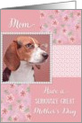 Serious Beagle - Mother’s Day for Mom card