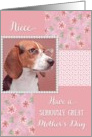 Serious Beagle - Mother’s Day for niece card