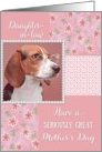 Mother’s Day - doggone great daughter in law card
