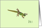 Gecko - Hi card