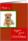 Pet Dog Photo Doggone Great Christmas card