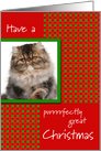 Pet Cat Photo Purrrrfectly Great Christmas card