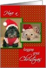 Custom-doggone great Christmas card
