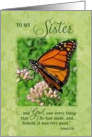Sister Birthday Butterfly Bible Verse card