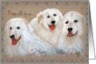 Happy Mother’s Day From All Great Pyrenees Dogs card