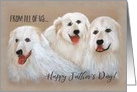 From all, Father’s Day dogs card