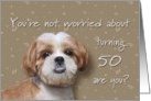 Happy 50th birthday, worried dog card