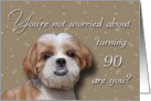 Custom - Dog turning 90 card